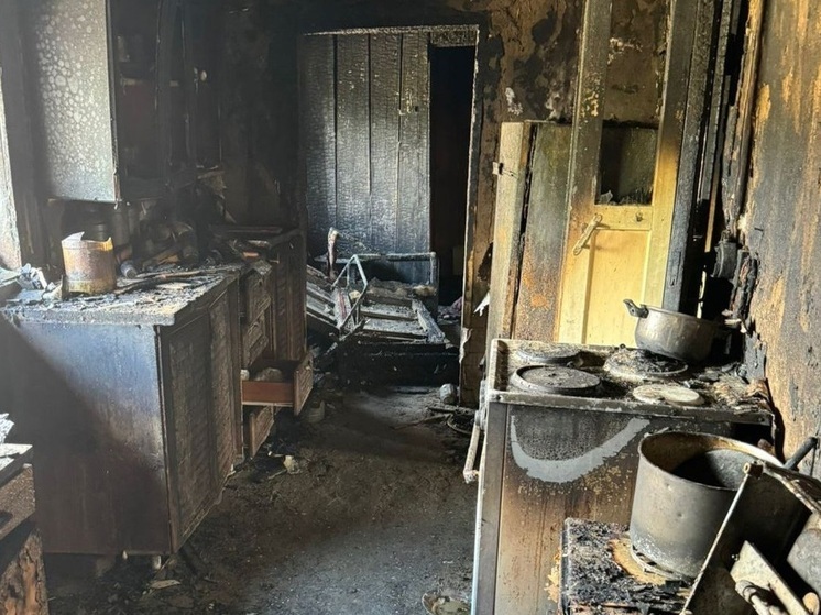 Под Новосибирском расследуют покушение на убийство бабушки и внучки