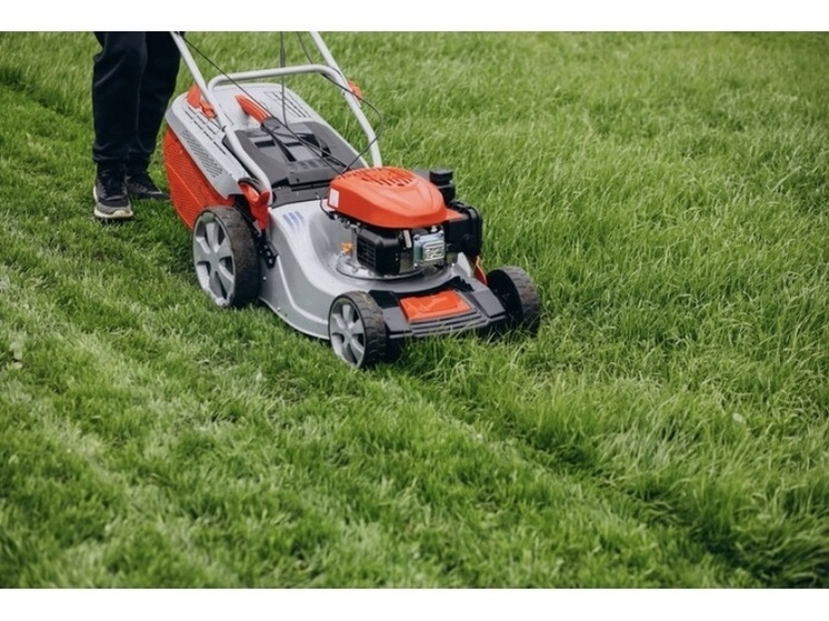 В Тамбове запланирован покос травы 17 мая на ряде улиц и в скверах