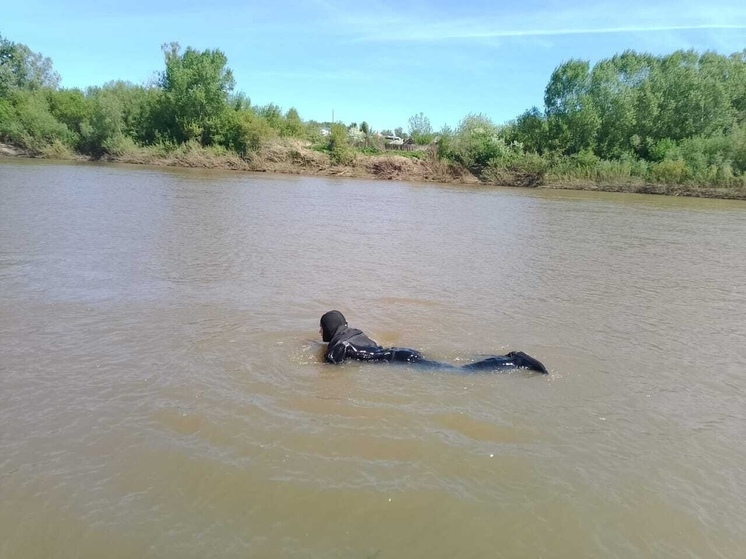 Водоемы Алтайского края начали готовить к пляжному сезону