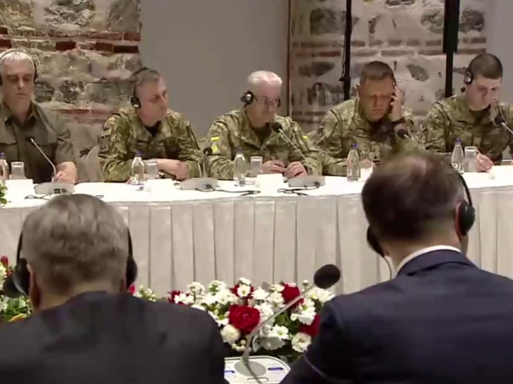 Делегация Украины на прямые переговоры с Россией 16 мая в Стамбуле привезла переводчика