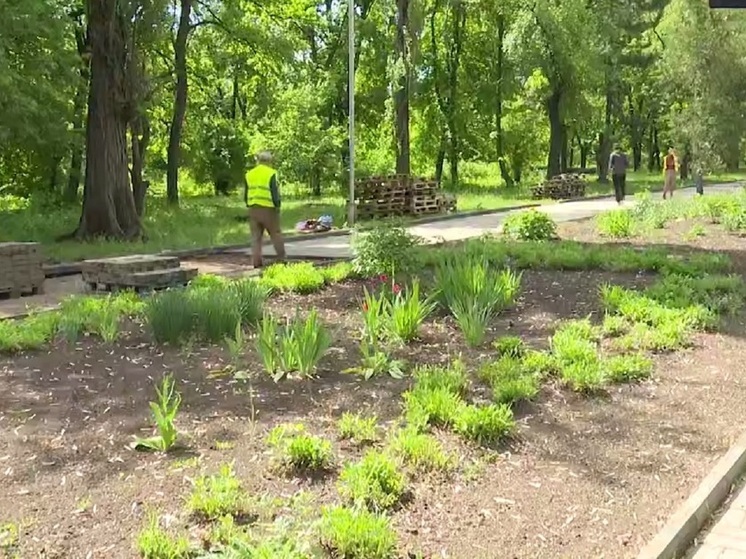 В Харцызске стартовало благоустройство парка культуры и отдыха имени Чехова