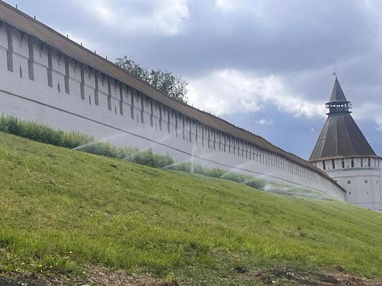 В Астрахани вандалы ломают водопровод и похищают цветы из клумб