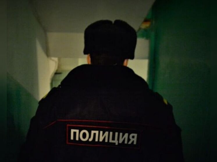 Житель Шемышейского района угрожал знакомому убийством бензопилой из-за сломанного мопеда