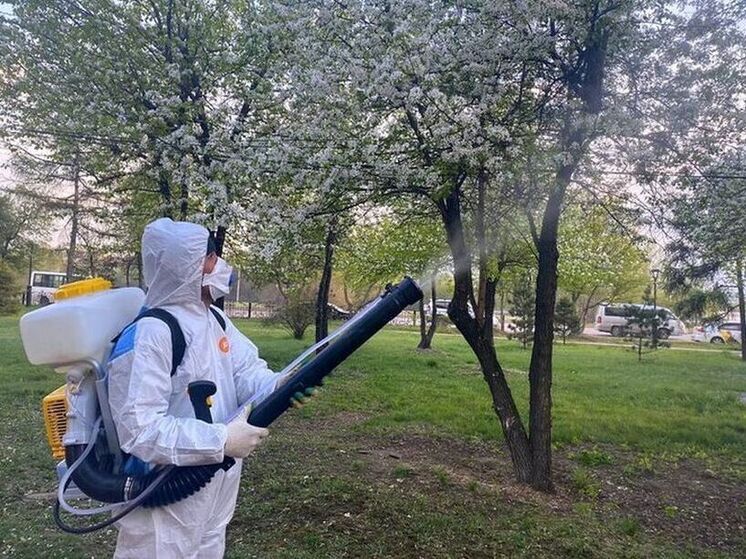 Обработку от горностаевой моли начали в Иркутске