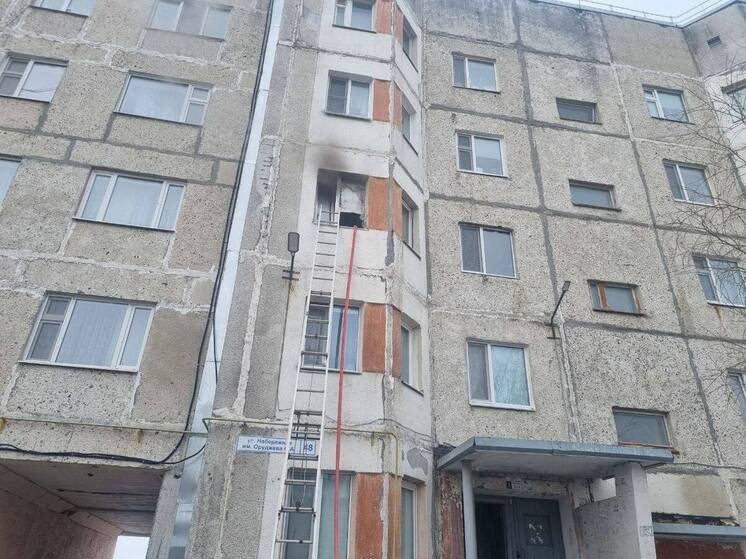 Кошка погибла, ребенок и мужчина пострадали при пожаре в квартире в Надыме