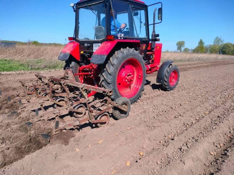 Подаренный губернатором трактор помог дубенским школьникам с посадкой картофеля