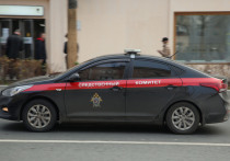 В Невском районе Санкт-Петербурга мигрант совершил нападение на пожилую женщину