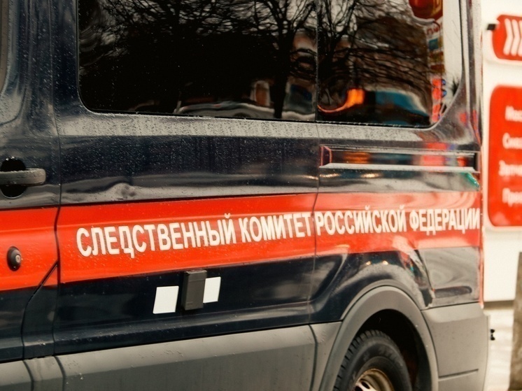 Бастрыкин узнал об оставшихся без жилья трех сиротах из Тверской области