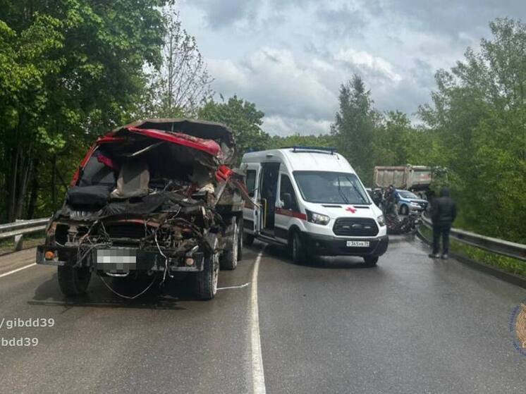 В Калининградской области при столкновении двух грузовиков пострадал водитель