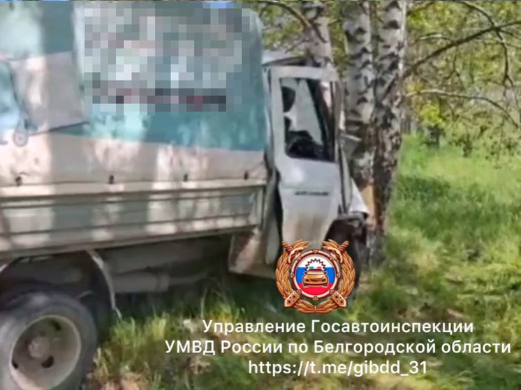 В Белгородской области водитель «ГАЗа» погиб при столкновении с деревом