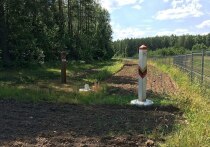 Интернет-пользователи утверждают, что Литва стала минировать территории у границы с Белоруссией
