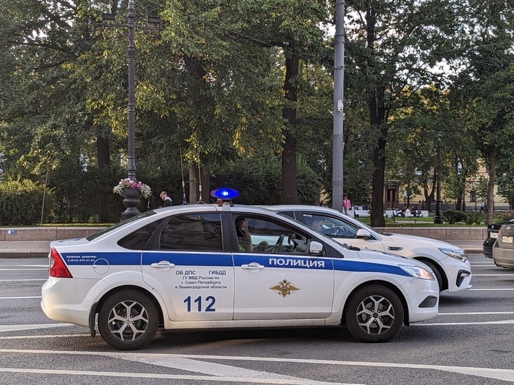 В Петербурге суд заключил под стражу супругу афериста за участие в мошенничестве