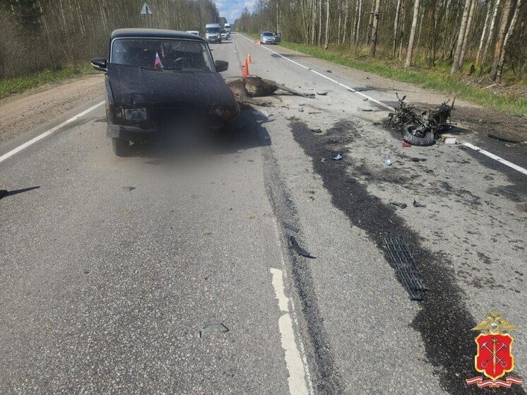 Сбежавшего в лес после смертельного ДТП со скутером задержали во Всеволожске