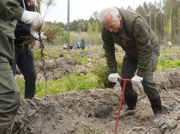 Губернатор Владимир Мазур поучаствовал вместе с томичами в акции «Сад памяти»