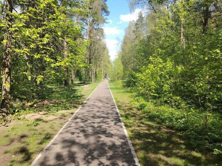 В Подмосковье завершили благоустройство 111 «народных топ»