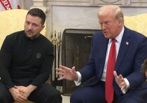 Президент США Дональд Трамп охарактеризовал Владимира Зеленского как "лучшего торгаша в мире"