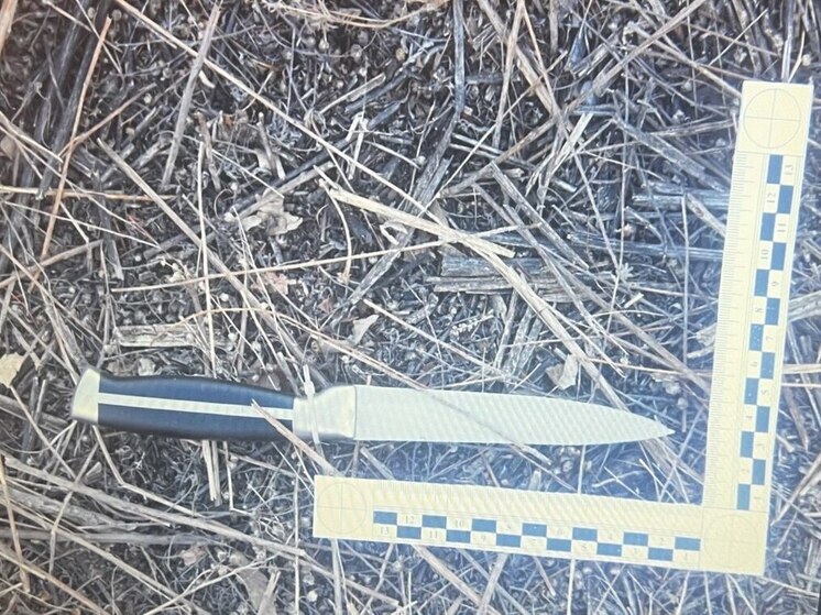 В Хоринском районе Бурятии женщина зарезала подростка во время пьяной ссоры