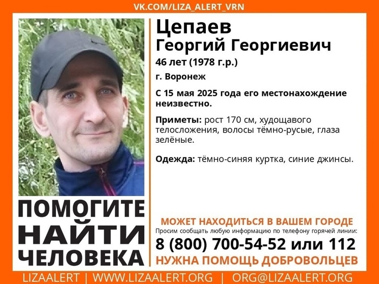 Поисковики «ЛизаАлерт» объявили о начале поисков пропавшего воронежца