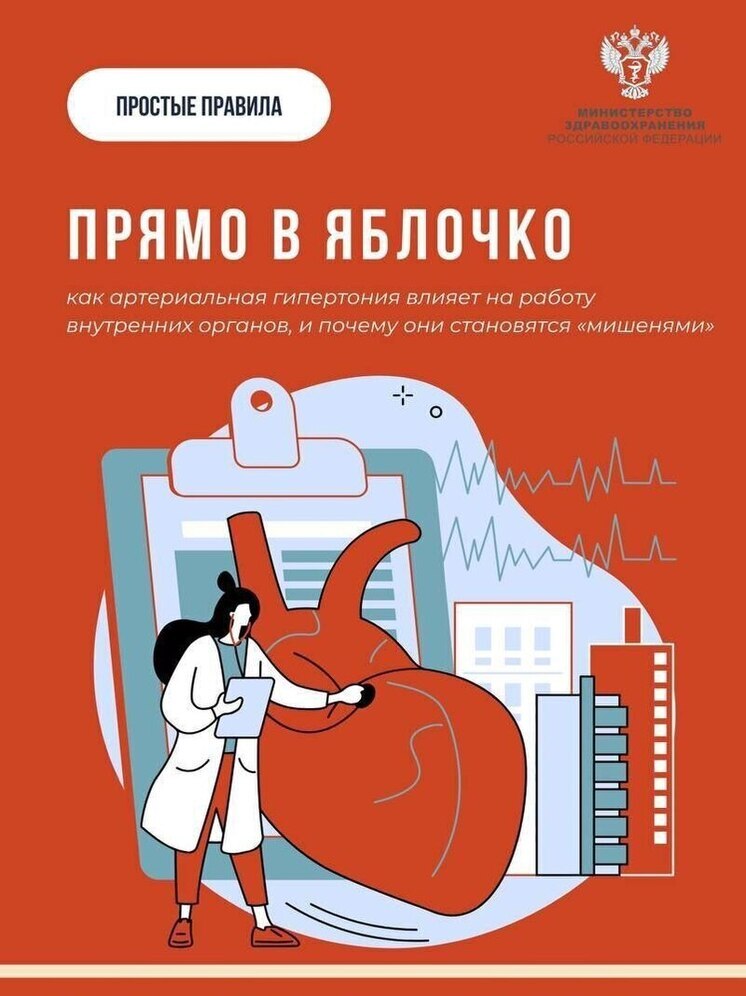 Псковичам рассказали о том, что такое артериальная гипертония и как она влияет на внутренние органы