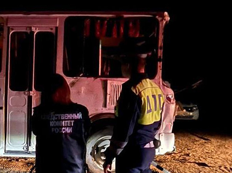 В Воронежской области возбуждено уголовное дело из-за аварии с автобусом