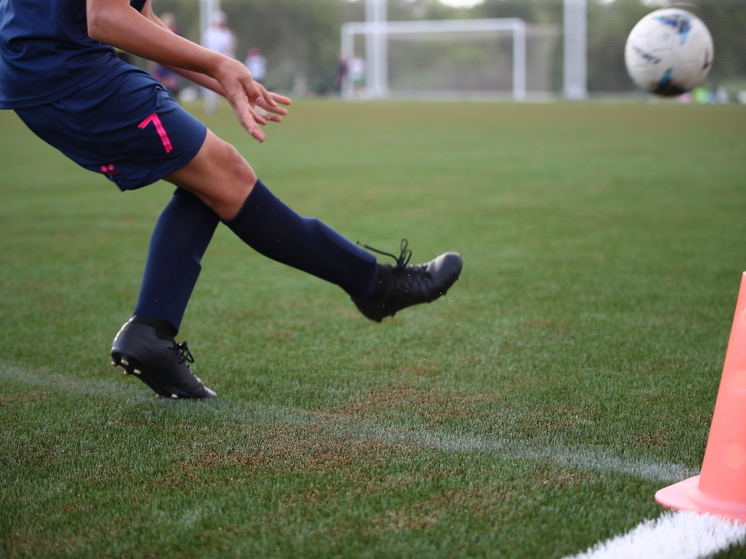 В Волгограде вновь попытаются продать стадион «Электроник»