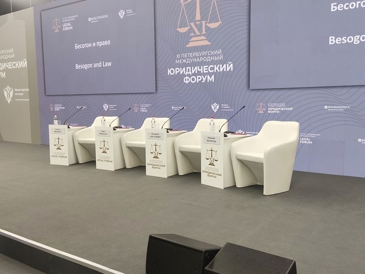 На ПМЮФ-2025 пройдет круглый стол о развитии органов принудительного исполнения