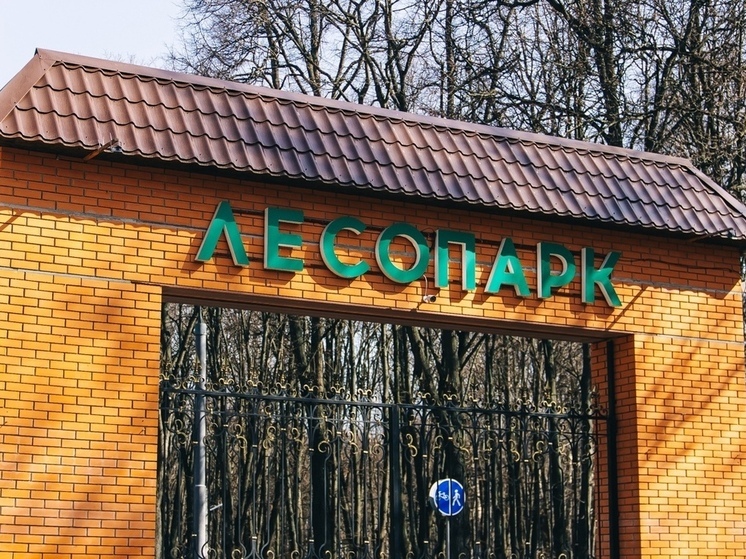 Жительница Рязани пожаловалась в соцсетях на агрессивных собак в Лесопарке
