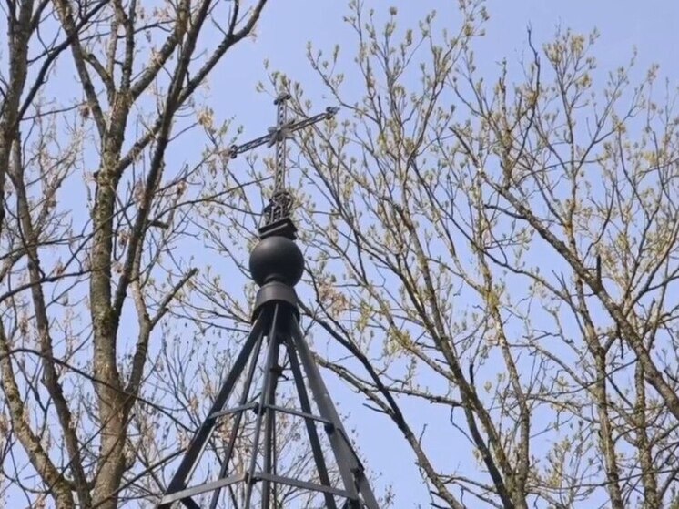 На Часовню-усыпальницу семьи Берг на Петровском кладбище установили крест
