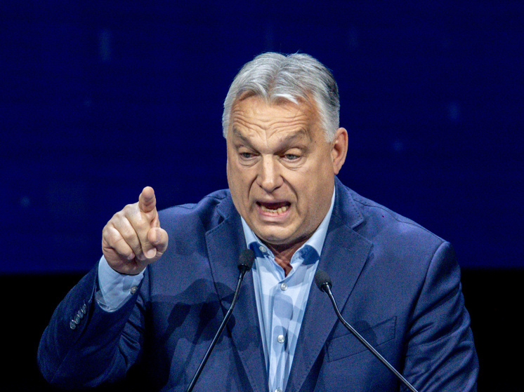 Орбан потребовал от генсека НАТО прекратить клевету со стороны спецслужб Киева