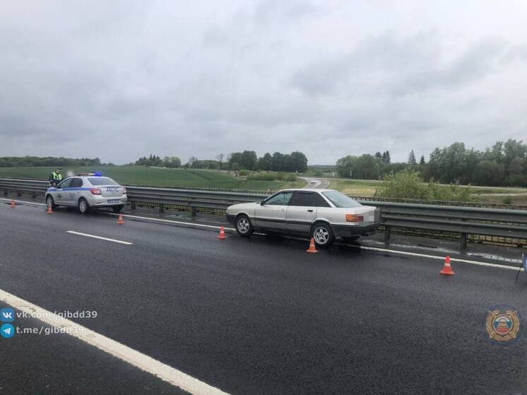 В Калининграде под колёса «Ауди» попал пешеход