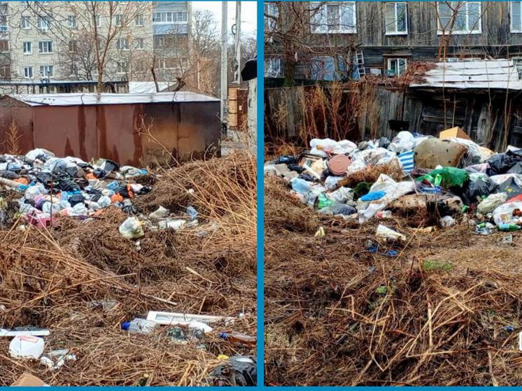 В Хабаровске избавились от очередной нелегальной свалки