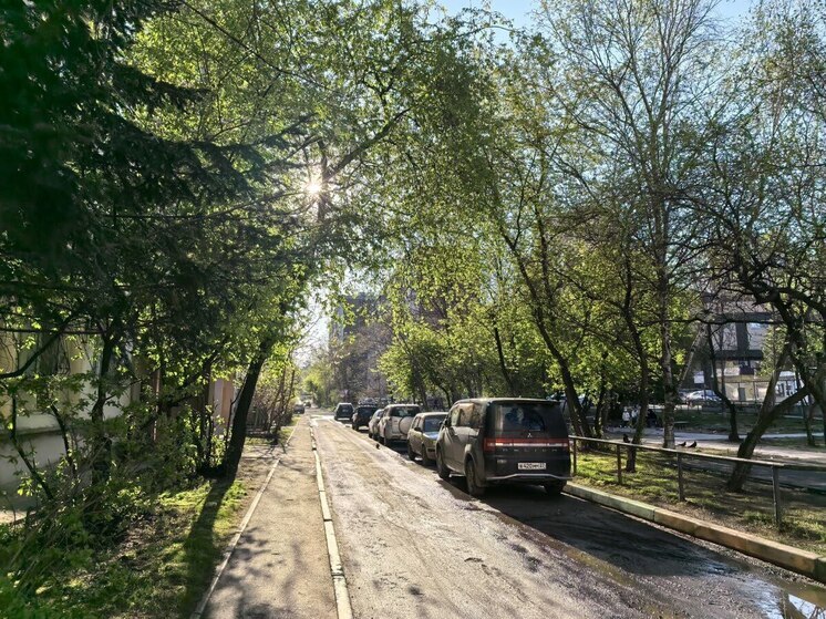 Магнитные бури в Хабаровске на неделю с 19 по 25 мая 2025 года