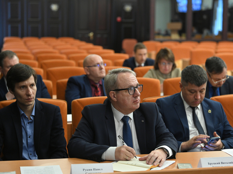 Хабаровские пожары взяли на контроль в правительстве