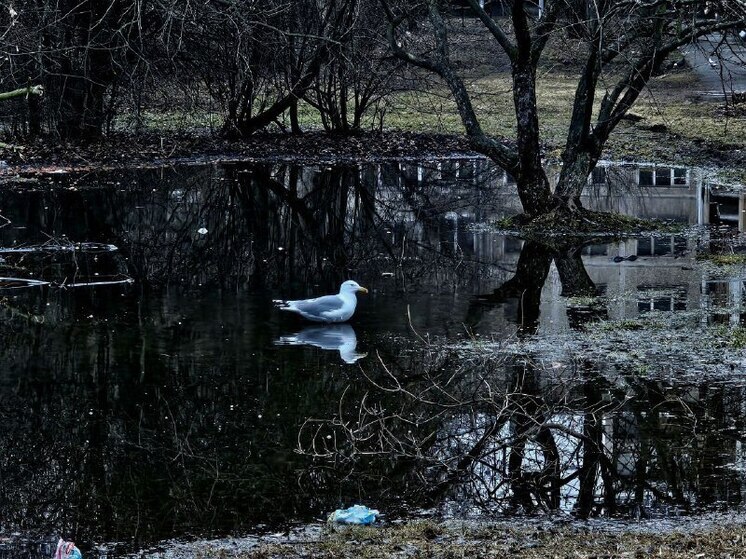 Жителей Хакасии предупредили о возможных ЧС из-за ветра и паводка