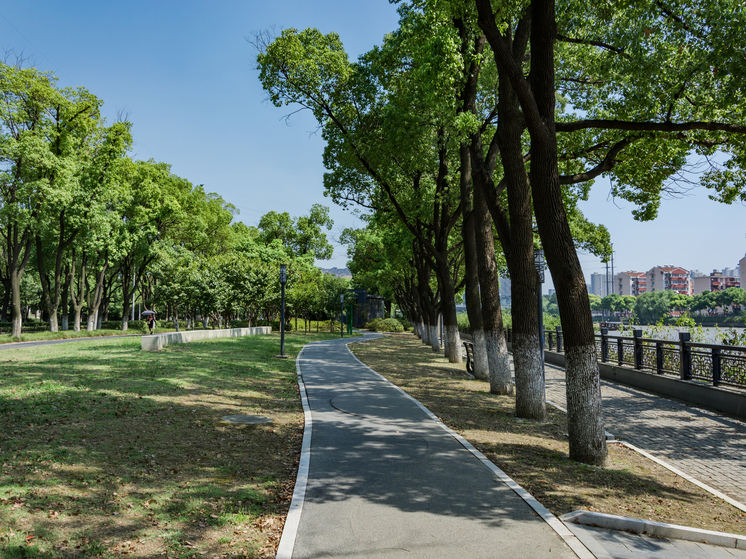 Более 110 тысяч томичей выбрали проекты для благоустройства на 2025 год