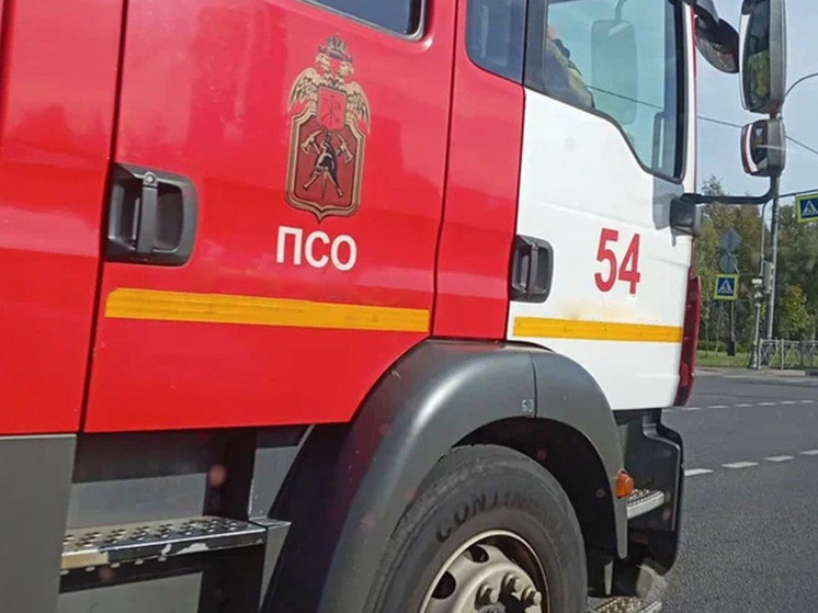 В Лесозаводском чуть не сгорел лес из-за возгорания травы