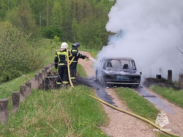 В Суворовском районе пожарные потушили горящий автомобиль