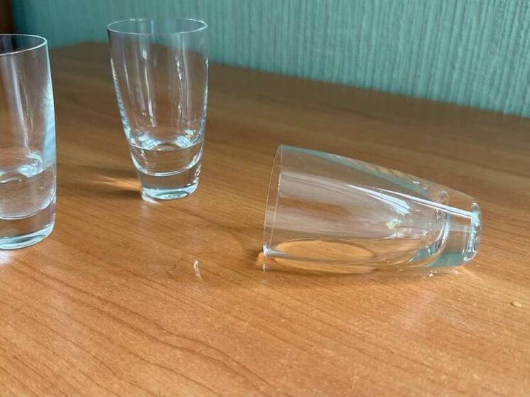 Жительницу Хакасии отправят в суд за поножовщину во время застолья