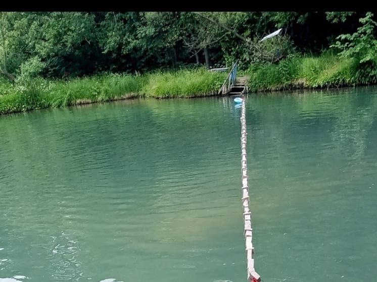 Калужские моржи остались без свободной воды