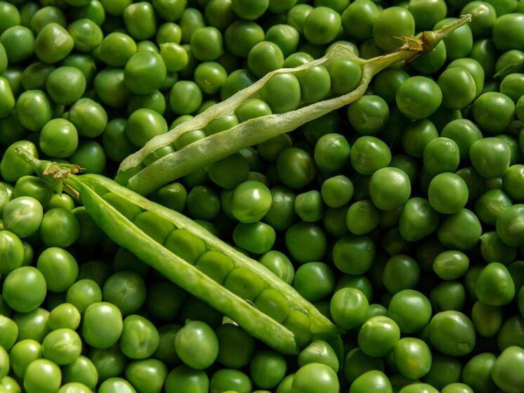 Синоптики 19 мая обещают в Смоленске пасмурную погоду