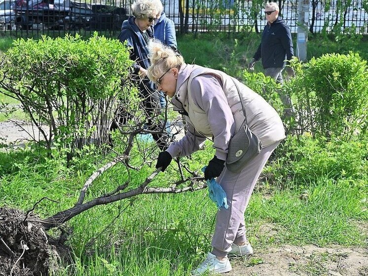 Около 40 самосвалов очищали Хабаровск от мусора