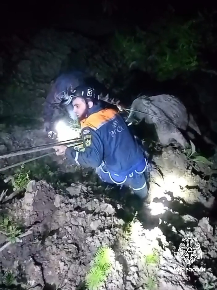 Ингушские спасатели вызволили корову из ущелья