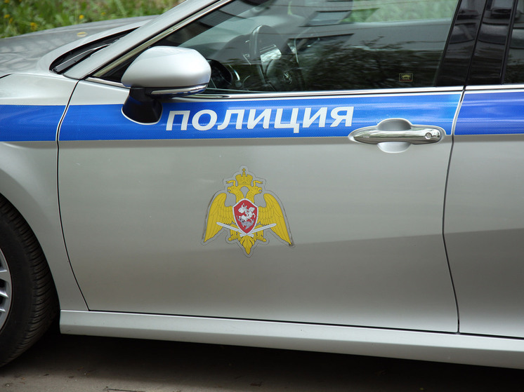 Полицейские выясняют детали инцидента с муляжом гранаты