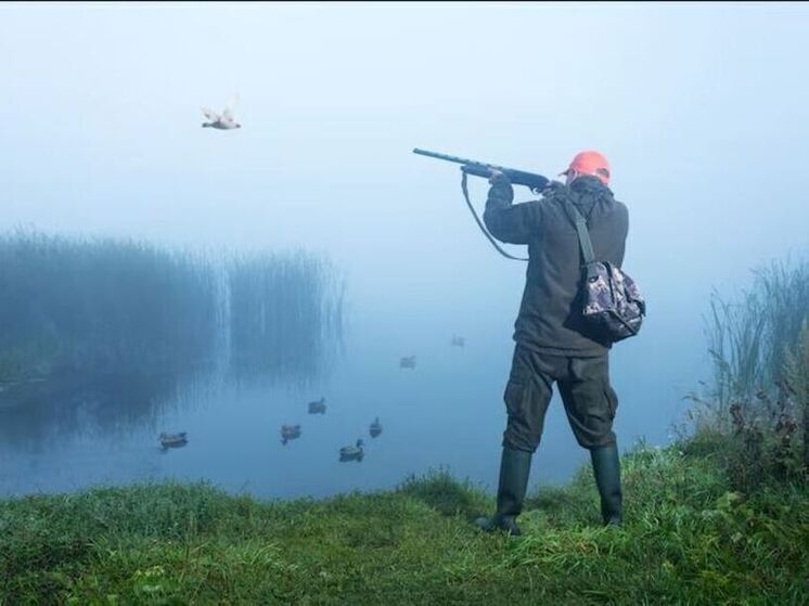 Калужским охотникам напомнили о новом регламенте заявок