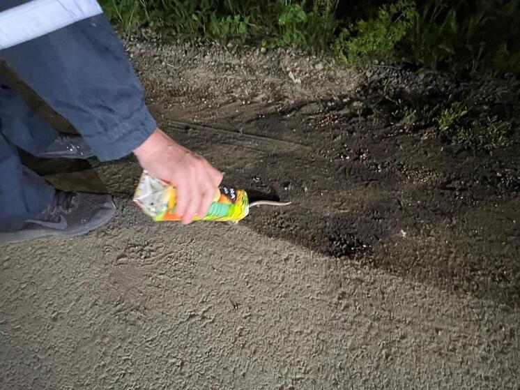 На потолке  частного дома в Уфе поймали змею