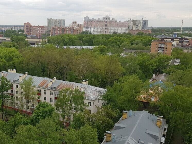 Из-за ветра объявили «желтый» уровень опасности в Подмосковье
