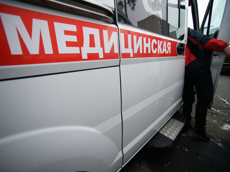 Попытка спрятаться в подвале загоревшегося дома закончилась трагически для главы семейства, его супруги и тещи в городском округе Богородский 18 мая