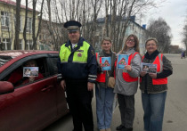 В Кольской школе прошла акция «Ребенок в машине — наша общая забота!», направленная на профилактику детского дорожно-транспортного травматизма