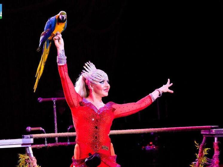 Малоимущие семьи Орла бесплатно посетили цирковое шоу «Золото Африки»