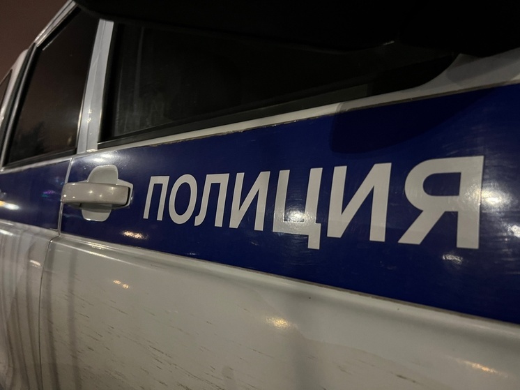 Работник пилорамы обокрал коллегу в Тверской области